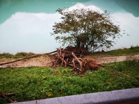 Plaz Most na Soči (Helena Jerman) (3)